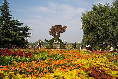 职位信息显示《极限竞速：地平线6》已开始制作